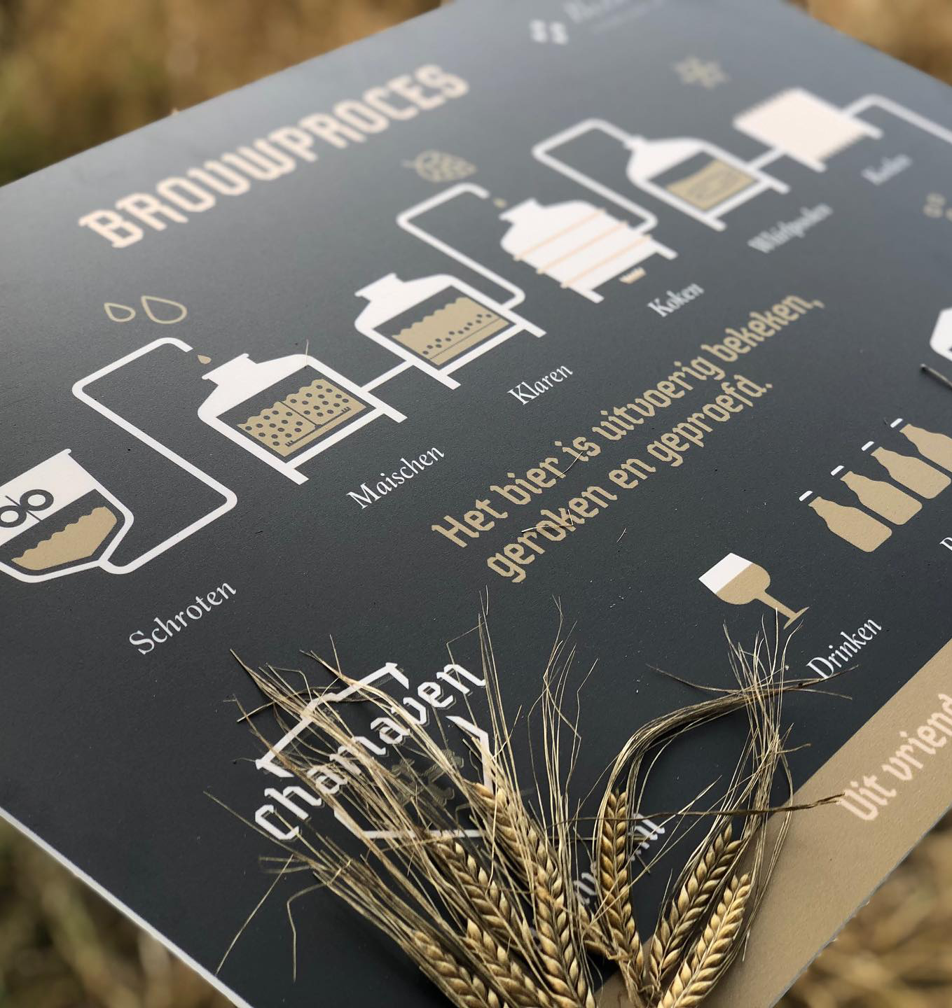 Chamaven brouwproces